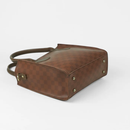 Zivara catchy Brown Bag